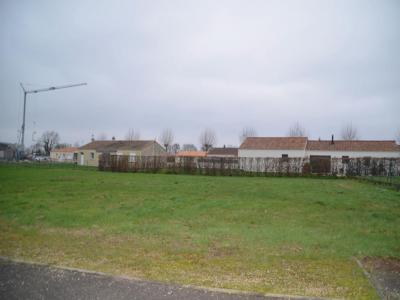 Vente Terrain SAINT-MAURICE-DES-NOUES 85120