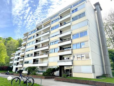 Vente Appartement 3 pices BESANCON 25000