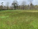 Land SAINT-BONNET-SUR-GIRONDE 