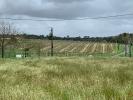 Land SAINT-BONNET-SUR-GIRONDE 