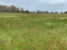 Land SAINT-BONNET-SUR-GIRONDE 