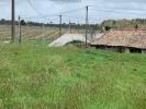 Land SAINT-BONNET-SUR-GIRONDE 