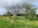 For sale Land Saint-georges-des-agouts  17150