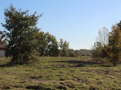 For sale Land NEGREPELISSE  82