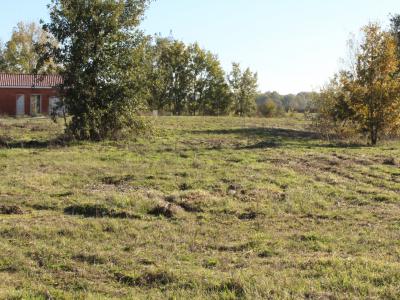 photo For sale Land NEGREPELISSE 82