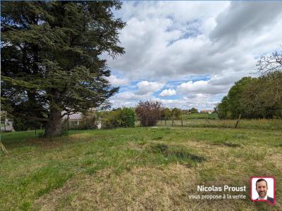 For sale Land SAVONNIERES  37