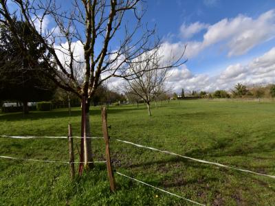 For sale Land RUELLE-SUR-TOUVRE GRAND ANGOULEME 16
