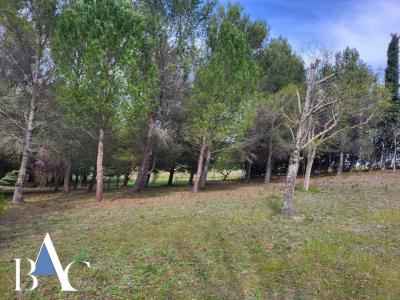 For sale Land LIMOUX  11