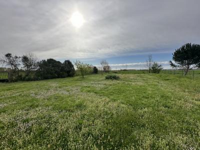 For sale Land VERDUN-SUR-GARONNE  82