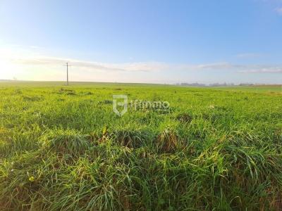 photo For sale Land ANNEUX 59