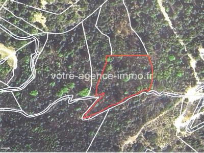 photo For sale Land ESCARENE 06