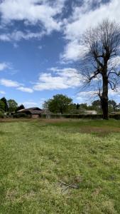 Vente Maison SANGUINET 40460