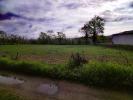 For sale Land Chassenon  16150 10000 m2