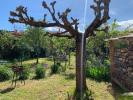 Annonce Vente 6 pièces Maison Albi