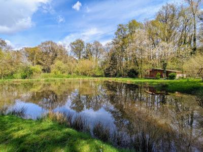 Vente Terrain MAXENT 35380