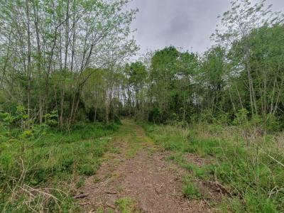 photo For sale Land SALLES 33