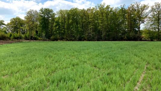 photo For sale Land DOUCHY-LES-MINES 59