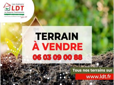 For sale Land ALBERT MEAULTE 80