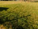 Acheter Terrain Cazaubon 59900 euros