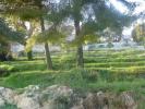 Acheter Terrain Colle-sur-loup 395000 euros