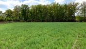 For sale Land Douchy-les-mines  59282 576 m2