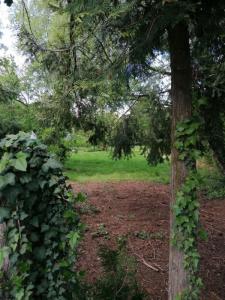 photo For sale Land ROANNE 42
