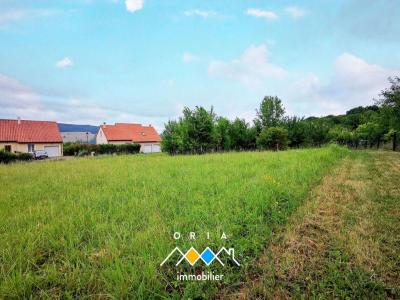 photo For sale Land ARRY 57