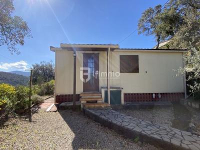 photo For sale House MUY 83
