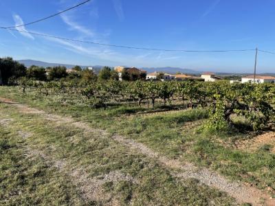 For sale Land POURRIERES  83