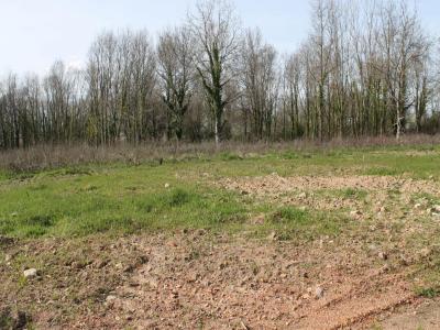 Vente Terrain SAINT-ETIENNE-DE-VICQ  03