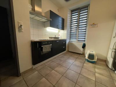 Location Appartement EPINAL 88000