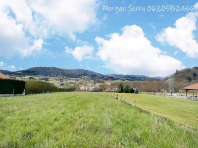 photo For sale Land LEIGNEUX 42