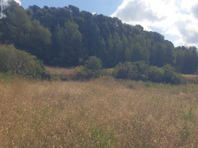 photo For sale Land OLLIOULES 83