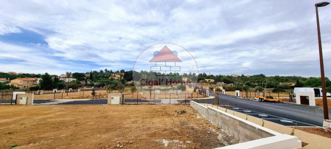 For sale Land PALME  11