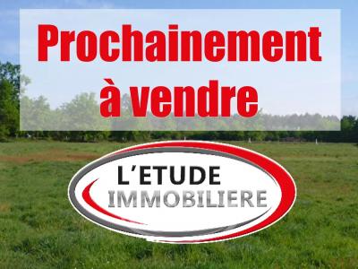 Vente Terrain BAULE-ESCOUBLAC 44500