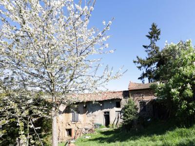 For sale House VIOLAY  42