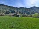 Annonce Vente Terrain Grand-bornand