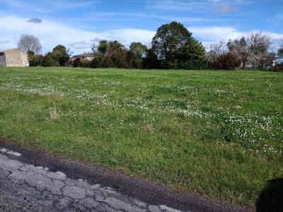 photo For sale Land SAINT-CIERS-DU-TAILLON 17