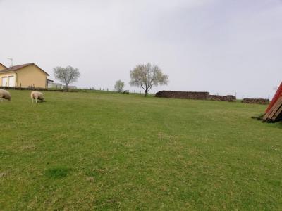 photo For sale Land ALAINCOURT 70