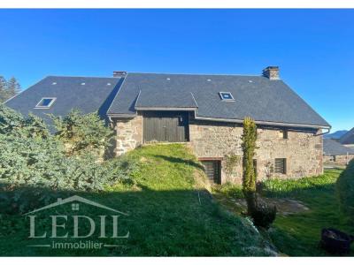 For sale House SAULZET-LE-FROID  63