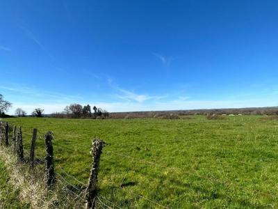photo For sale Land THIVIERS 24