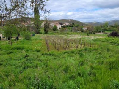 Vente Terrain BRASSAC-LES-MINES  63