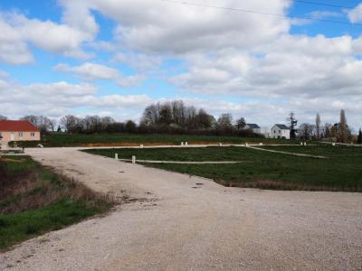 Vente Terrain LAMARCHE-SUR-SAONE 21760