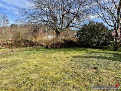 photo For sale Land COINCHES 88