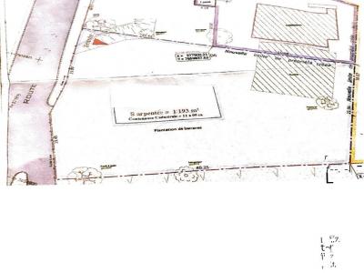 For sale Land SAINTE-ROSE  974