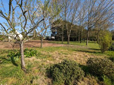 photo For sale Land PORCARO 56