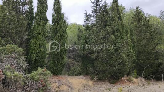 photo For sale Land SIGEAN 11