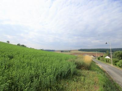 photo For sale Land SALIGNY 89