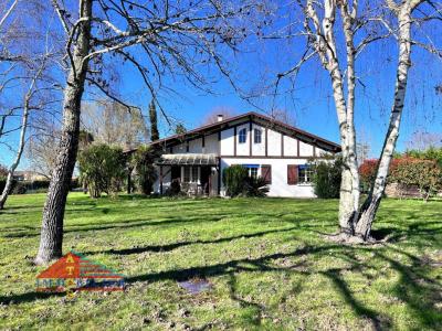 Vente Maison 5 pices AIRE-SUR-L'ADOUR 40800