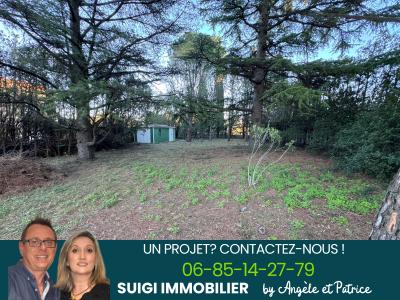 For sale Land SORGUES  84